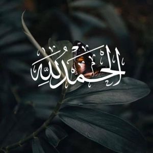 Meet your Posher, Lilija